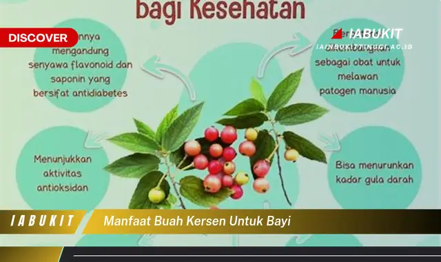 manfaat buah kersen untuk bayi