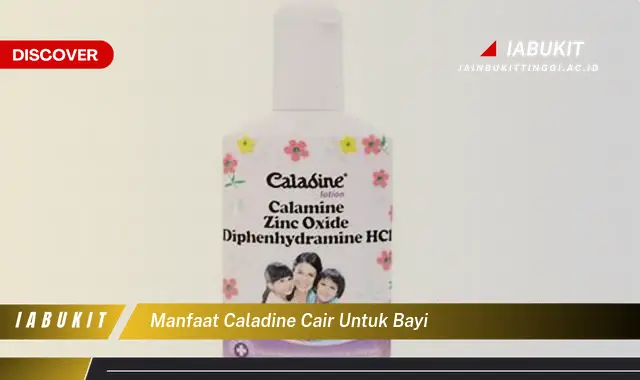 Temukan 20 Manfaat Caladine Cair untuk Bayi yang Wajib Kamu Intip! - E-Jurnal