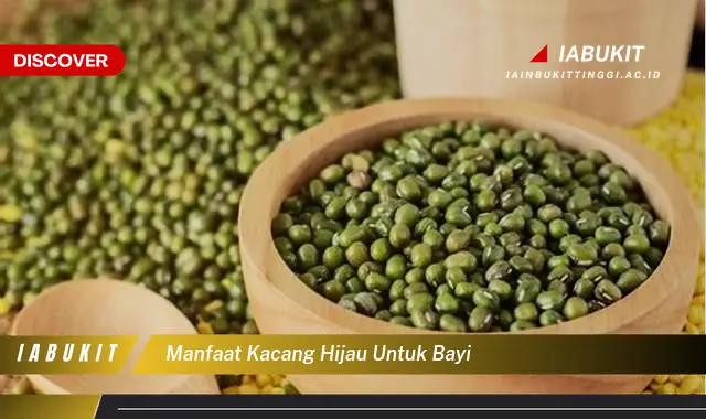 manfaat kacang hijau untuk bayi