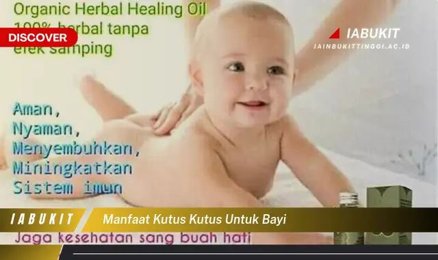 manfaat kutus kutus untuk bayi