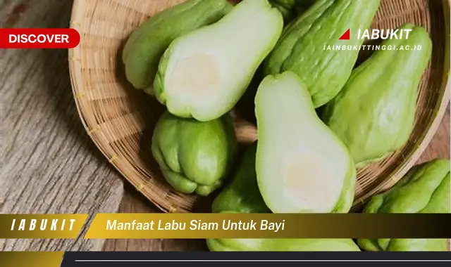 manfaat labu siam untuk bayi