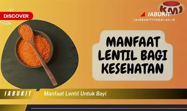 manfaat lentil untuk bayi