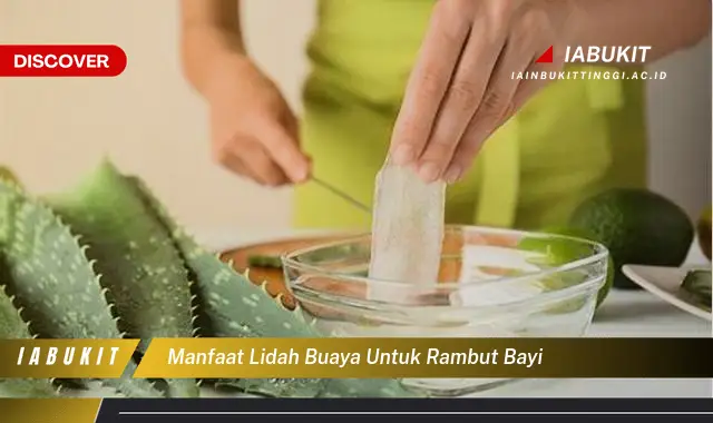 manfaat lidah buaya untuk rambut bayi