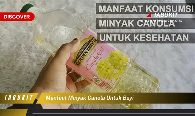 manfaat minyak canola untuk bayi