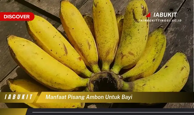 manfaat pisang ambon untuk bayi