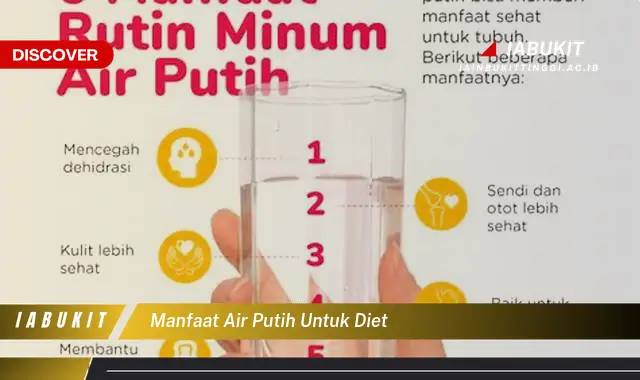 manfaat air putih untuk diet