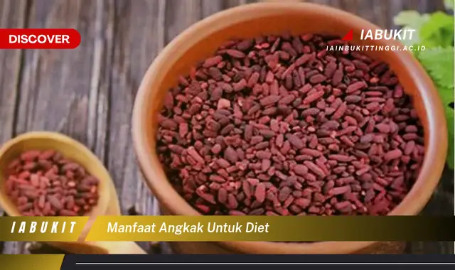 manfaat angkak untuk diet