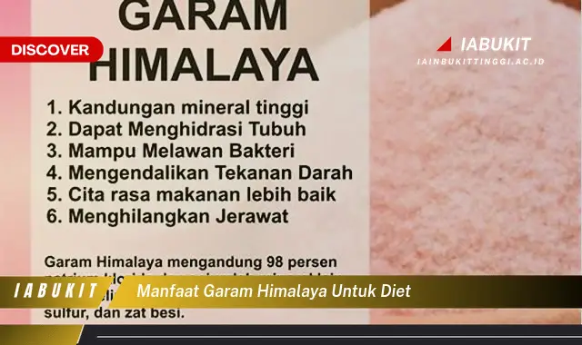 manfaat garam himalaya untuk diet