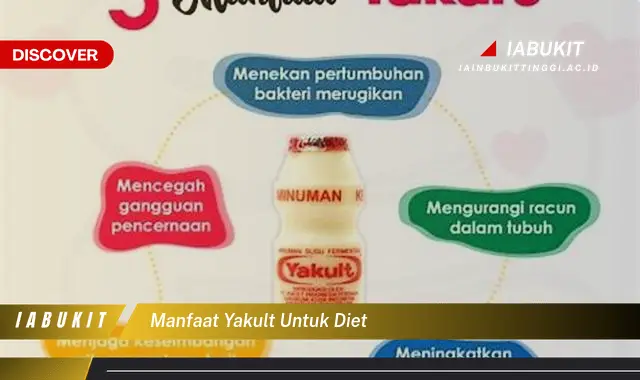 manfaat yakult untuk diet