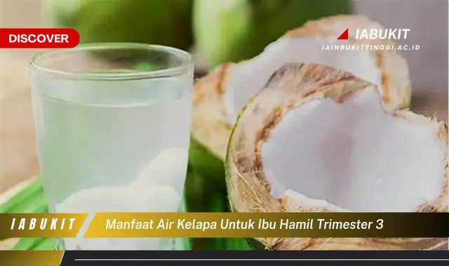 manfaat air kelapa untuk ibu hamil trimester 3