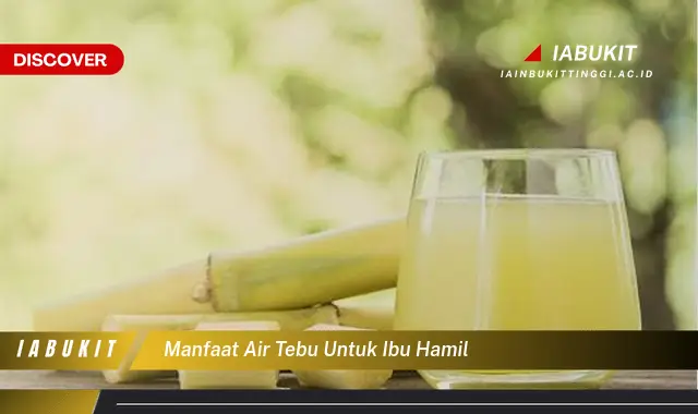 manfaat air tebu untuk ibu hamil