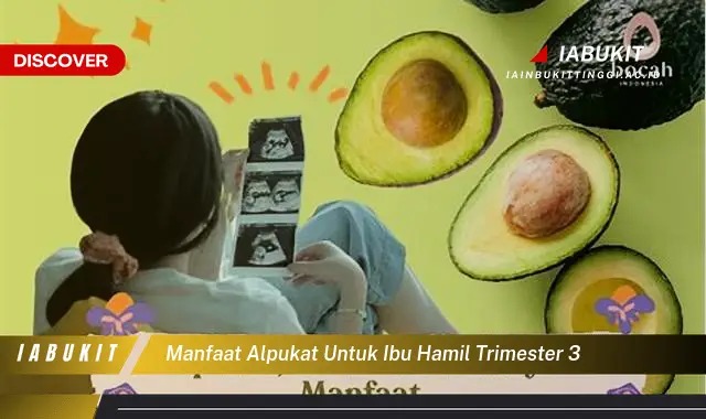 manfaat alpukat untuk ibu hamil trimester 3