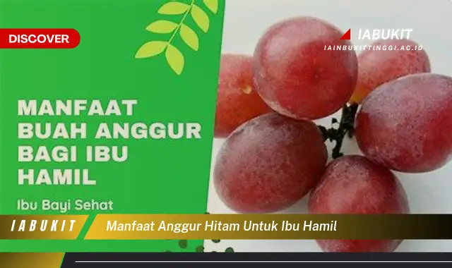 manfaat anggur hitam untuk ibu hamil