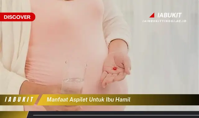 manfaat aspilet untuk ibu hamil