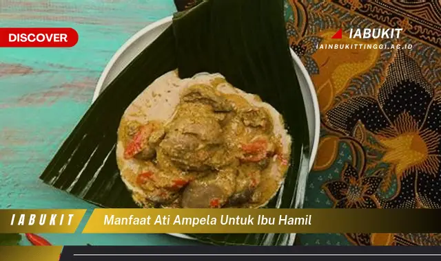 manfaat ati ampela untuk ibu hamil