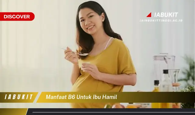 Temukan 20 Manfaat Vitamin B6 untuk Ibu Hamil yang Jarang Diketahui - E-Jurnal