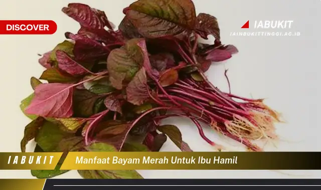 manfaat bayam merah untuk ibu hamil