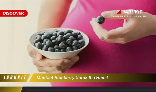 manfaat blueberry untuk ibu hamil