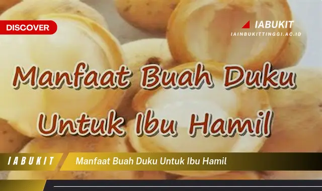 Temukan 20 Manfaat Buah Duku untuk Ibu Hamil yang Jarang Diketahui - E-Jurnal