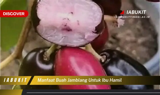 manfaat buah jamblang untuk ibu hamil