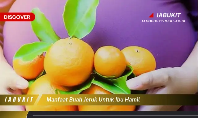 manfaat buah jeruk untuk ibu hamil