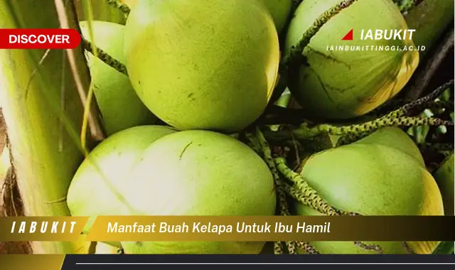 manfaat buah kelapa untuk ibu hamil