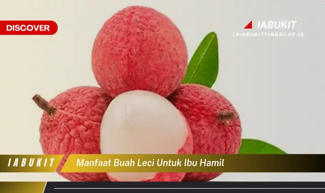 manfaat buah leci untuk ibu hamil manfaat buah leci untuk ibu hamil