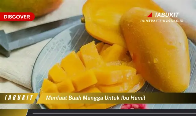 manfaat buah mangga untuk ibu hamil