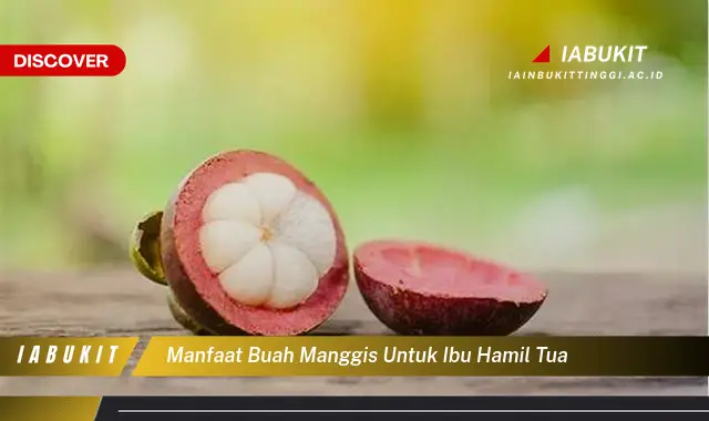 manfaat buah manggis untuk ibu hamil tua