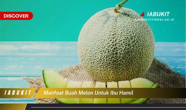 manfaat buah melon untuk ibu hamil