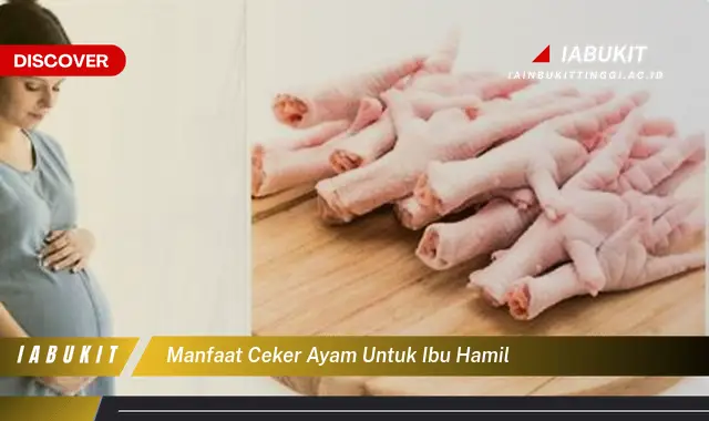 manfaat ceker ayam untuk ibu hamil