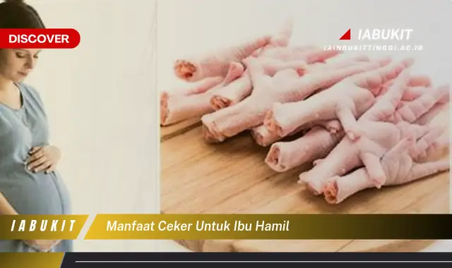 manfaat ceker untuk ibu hamil