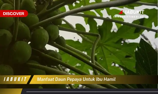 manfaat daun pepaya untuk ibu hamil