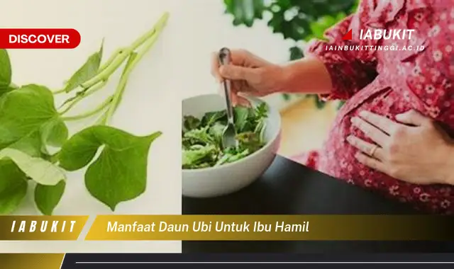 manfaat daun ubi untuk ibu hamil