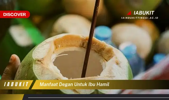 manfaat degan untuk ibu hamil