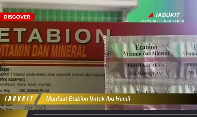 manfaat etabion untuk ibu hamil