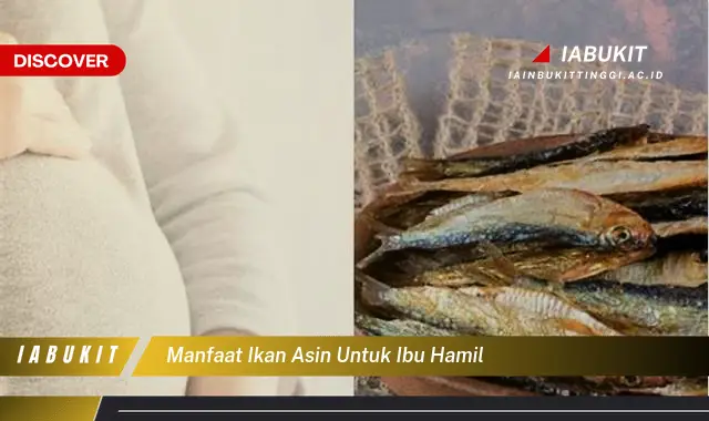 manfaat ikan asin untuk ibu hamil