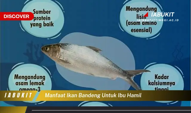manfaat ikan bandeng untuk ibu hamil manfaat ikan bandeng untuk ibu hamil