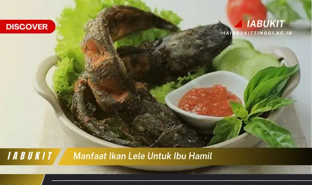 manfaat ikan lele untuk ibu hamil