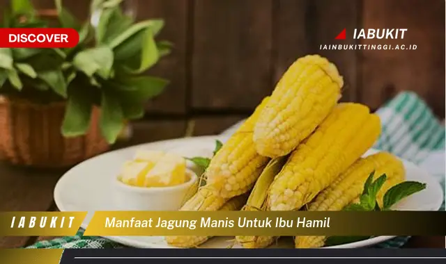 manfaat jagung manis untuk ibu hamil