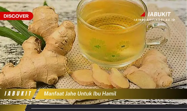 manfaat jahe untuk ibu hamil manfaat jahe untuk ibu hamil
