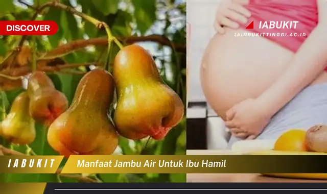 manfaat jambu air untuk ibu hamil