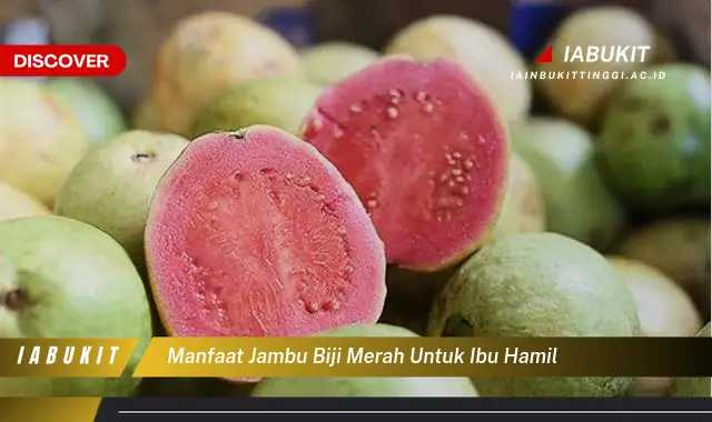 manfaat jambu biji merah untuk ibu hamil