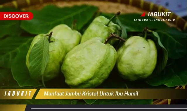 manfaat jambu kristal untuk ibu hamil