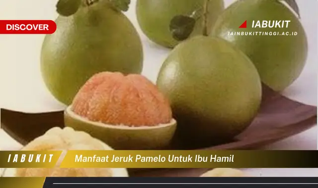 manfaat jeruk pamelo untuk ibu hamil