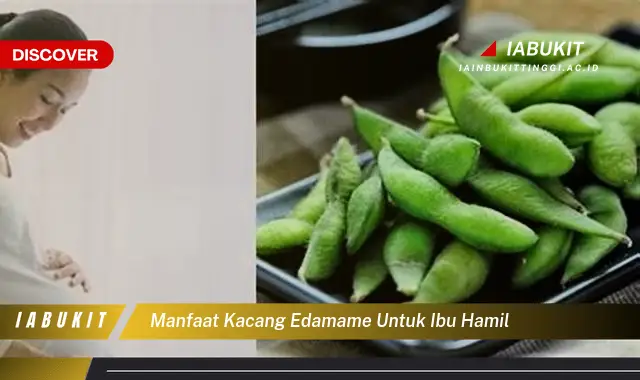 manfaat kacang edamame untuk ibu hamil