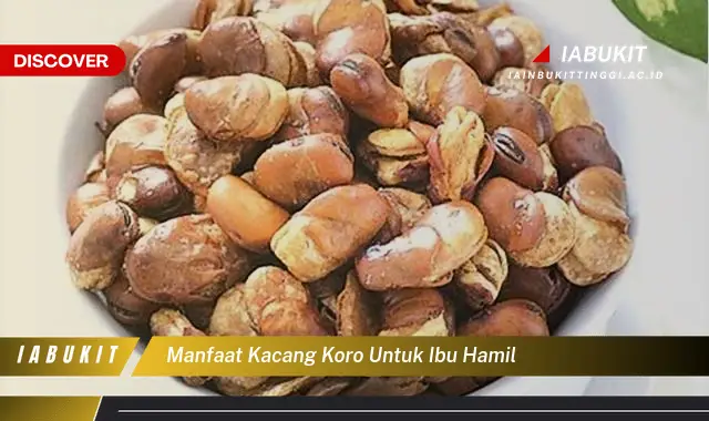 manfaat kacang koro untuk ibu hamil