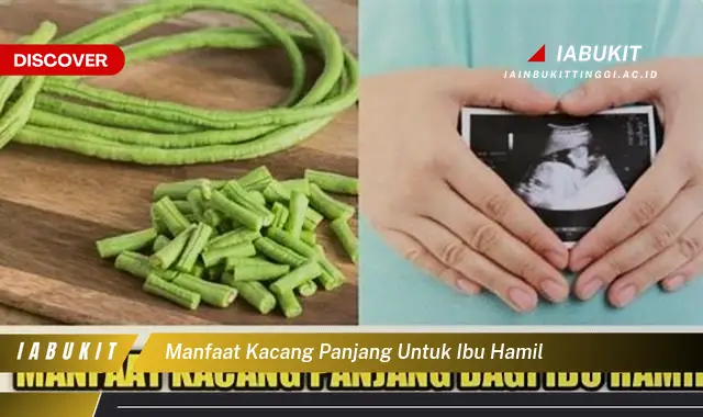 Temukan 20 Manfaat Kacang Panjang yang Wajib Kamu Intip untuk Ibu Hamil - E-Jurnal