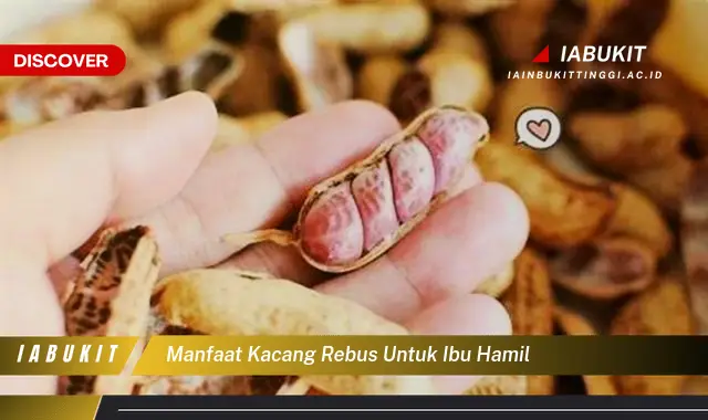 manfaat kacang rebus untuk ibu hamil
