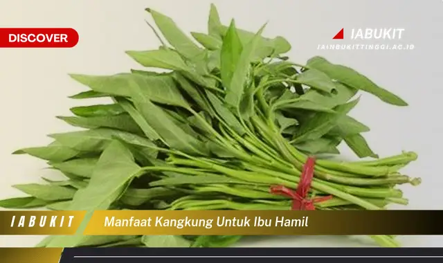 manfaat kangkung untuk ibu hamil